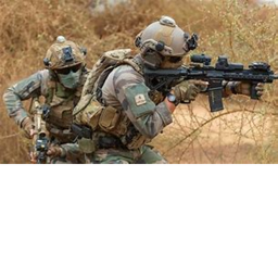 The chaos criminal ( military vs criminal )