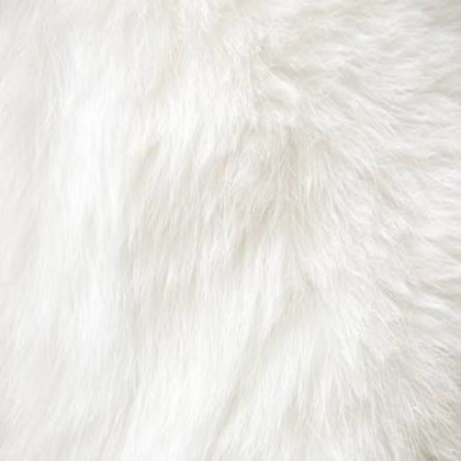 White Wolf fur Roblox decal
