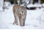 British Snow Corps