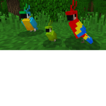parrot friends