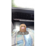 DigletDiglet