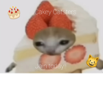 !~!Cakey Catsters!~!
