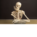 Skeleton_kay