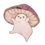 Mushroom Men or Woman