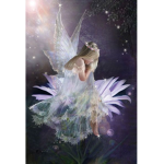 Fairytok friends