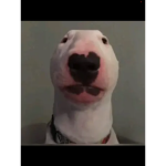 I live under your bed