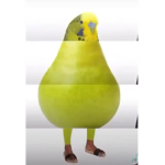 The almighty birb