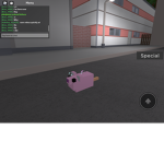 It’s slipper’s group