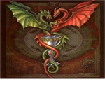 DRAGONWARRIORS TRAINERS