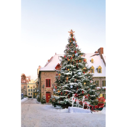 Christmas Homestore