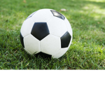 Roblox World Wide Soccer League (Original)