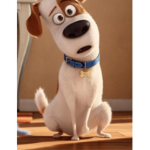 Pet is cute