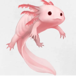 Axolotl Kingdom Fan Club