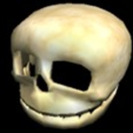 The Riddling Skeletons