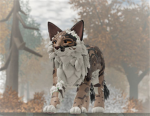 WCUE NPC hunts
