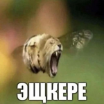 СЕКТА ЭЩКЕРЕ