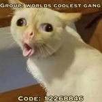 Worlds coolest gang
