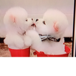 The cutest group ever!!!!!