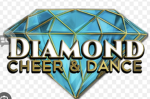 Princess cut diamond elite