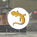 Lizard Point