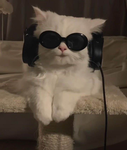 Void's Lounge