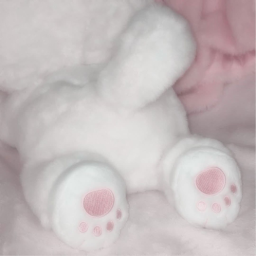 ✧˚ ⋆｡˚