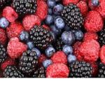 roblox.berries._