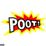 GeneralPootis's Group Of Poots And Stuff