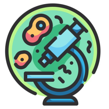 Juego de Estudio de Biología IB/AP