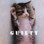 The BAD CATS!!