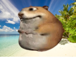 bencool