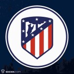 Metropolitano Stadium 