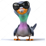 Pigeon x Squad
