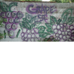 Grape Street Blocc (GSB)