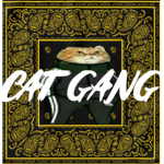 [CG] Cat Gang