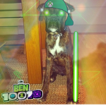 mølly