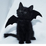 Spooklub