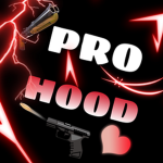 The Pro Hood