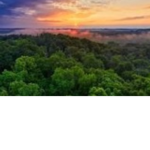 Save the amazon rainforest
