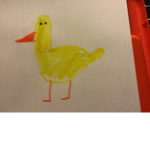 Pond with ducks