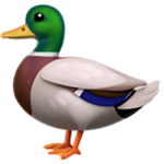 Cool Goose Group