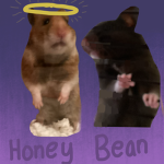 Forever Hamsters