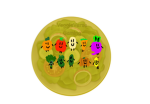 VeggieVerseGaming