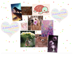 Anim@l Cult!