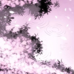 - Blossom's angels -