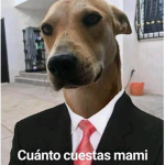 El Grupo de Gamiel