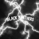 ! Black Panthers