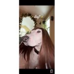 hola no se unan xd