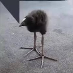 the buggiest obby