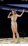 THE SWIFTIE GAMERZ